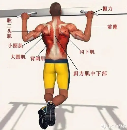 游戏里的草原画怎么画